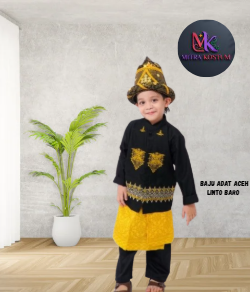 Baju Adat Aceh Linto Baro